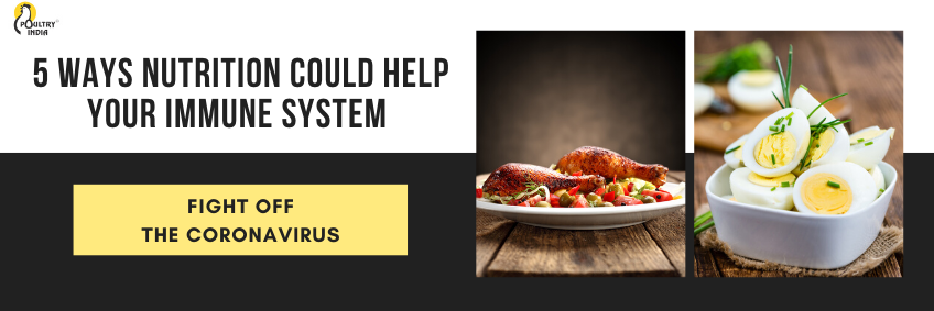 5 ways nutrition could help your immune system fight off the coronavirus