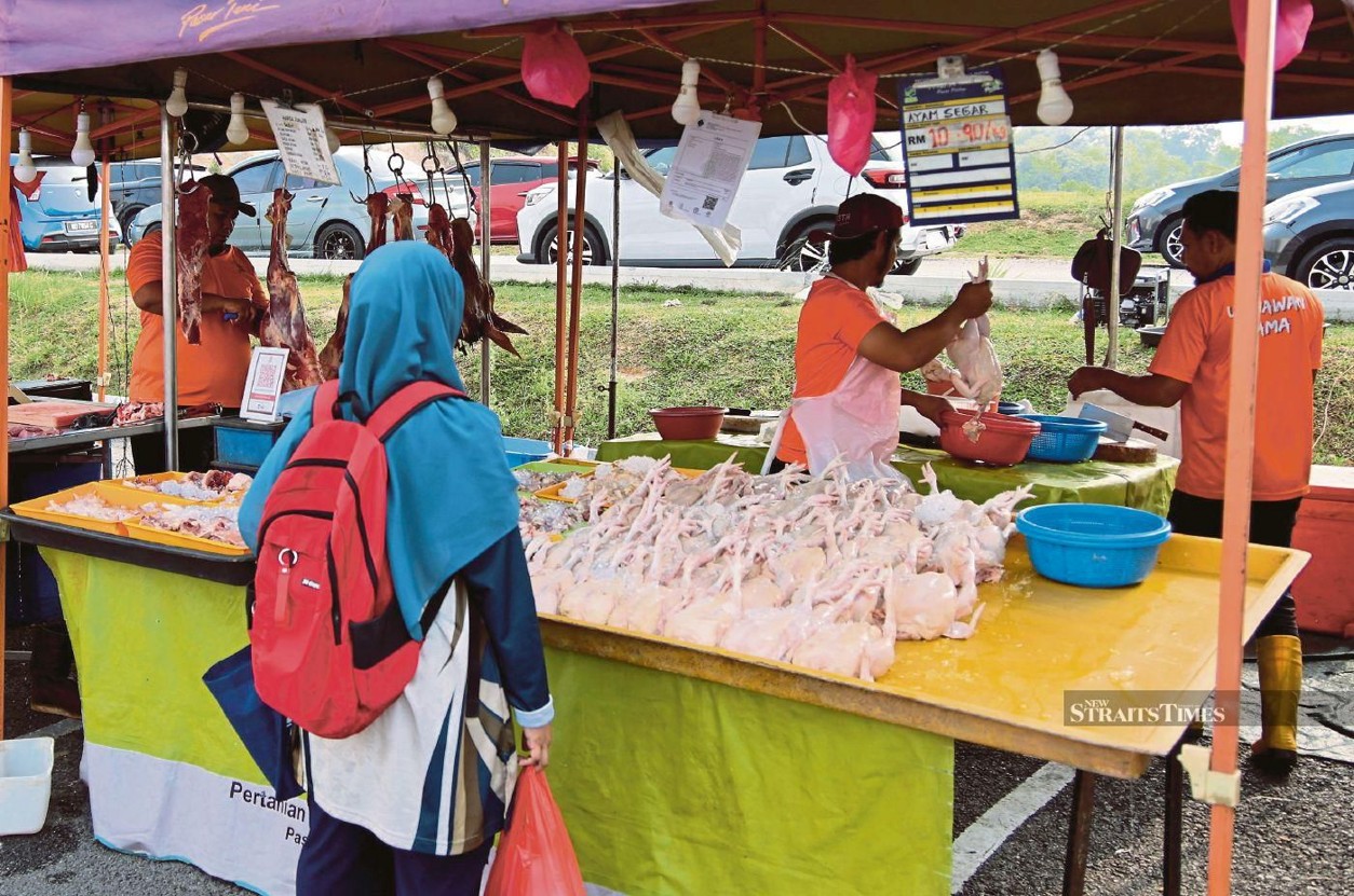 Chicken and egg prices rise as poultry farms face mounting pressures in Malaysia
