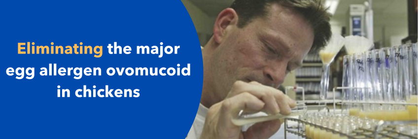Eliminating the major egg allergen ovomucoid in chickens — genome edited OVM-knockout