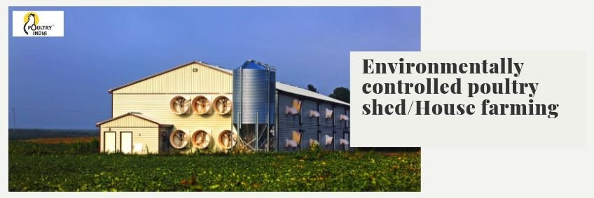 Environmentally controlled poultry shed / house farming