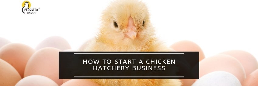 Hatchery
