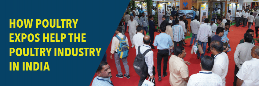 How poultry expos help the poultry industry in India