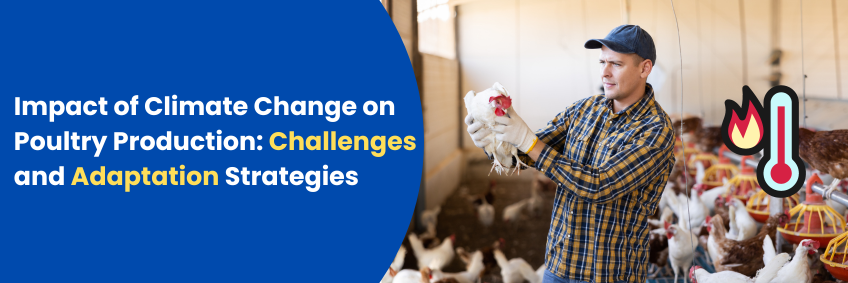 Impact of climate change on poultry production — challenges and adaptation strategies