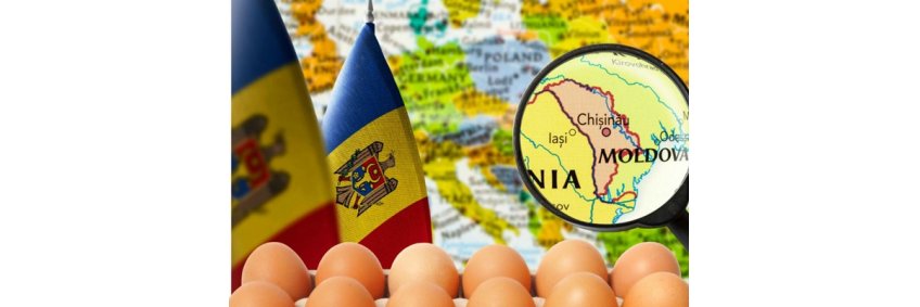 Moldova's egg exports to Europe skyrocket