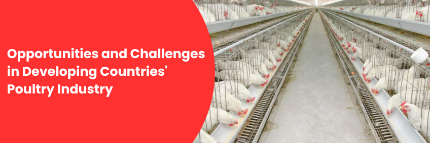 Opportunities and challenges in developing countries' poultry industry