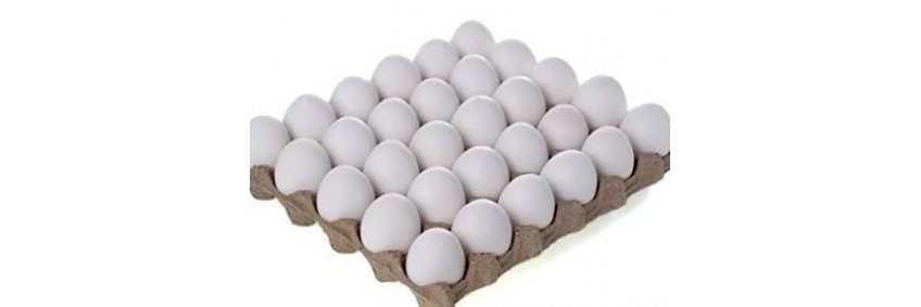 India poultry exports double