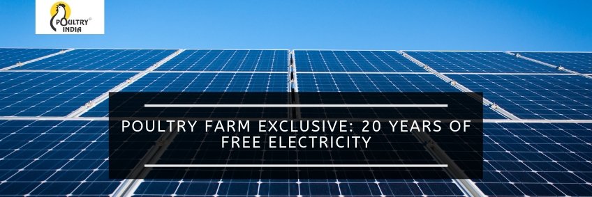 Poultry farm exclusive — 20 years of free electricity