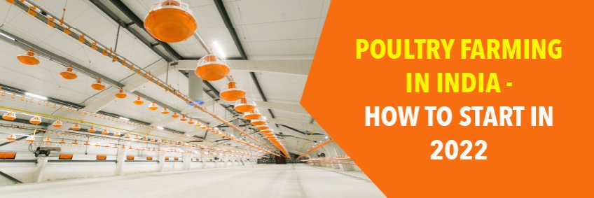 How to start poultry farming in India in 2022