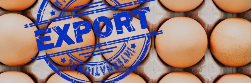 Russia egg exports