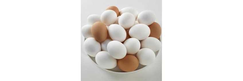 Saudi Arabia self-sufficiency in table egg production