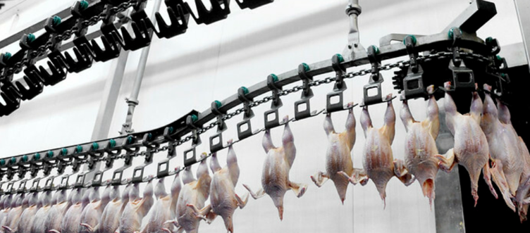 Brazil's chicken meat prices rise on stronger consumer demand