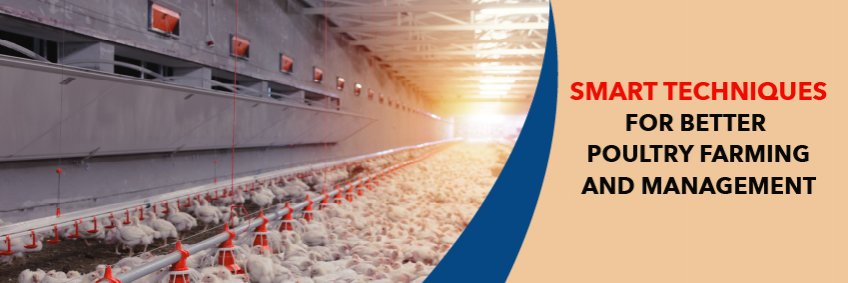 Smart techniques for better poultry farming and management