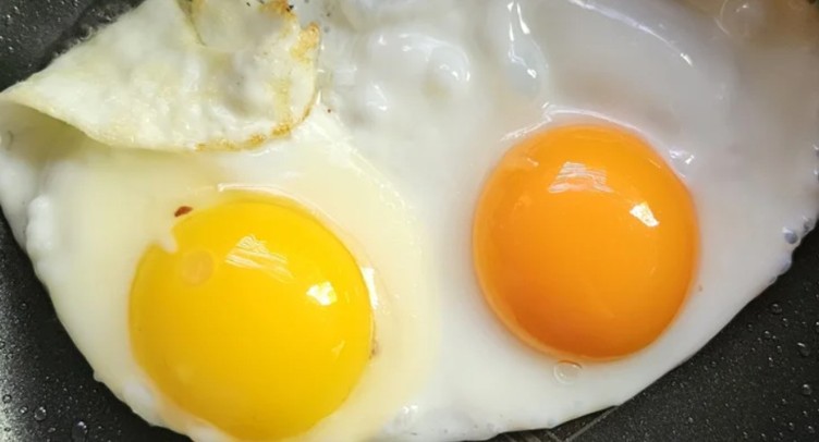The difference between orange and yellow egg yolks