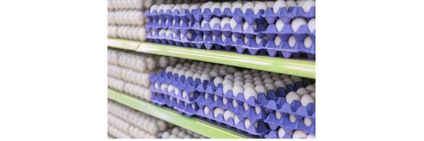US to import eggs from Turkey and South Korea to ease prices
