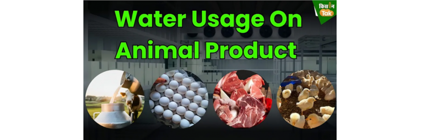 Water usage in animal product production — a growing concern