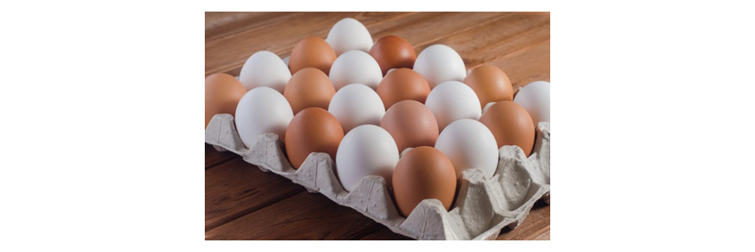International Egg Commission rebrands as World Egg Organisation