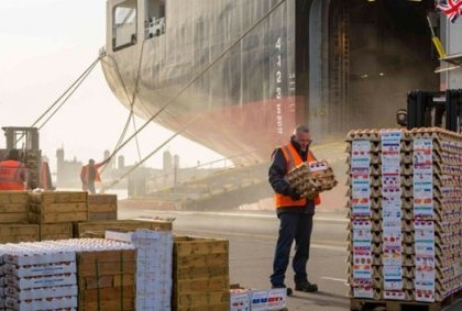 UK lower-standard egg imports