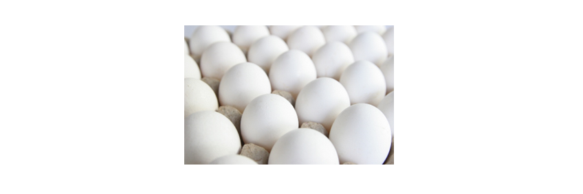 Eggs shelf life increased to 90 days — CARI's Egg Shield herbal spray