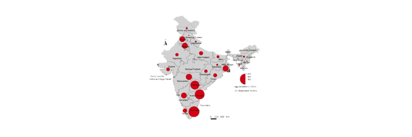 Maize availability and poultry growth