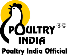 Media Partner