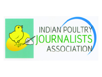 Media Partner