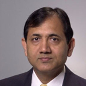 Prof. Dr Suresh Mittal