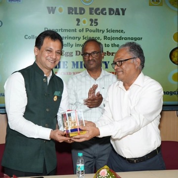 Interactive egg nutrition session