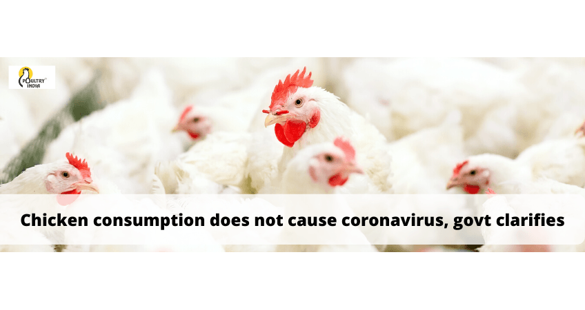 Govt Clarifies — Chicken & Coronavirus