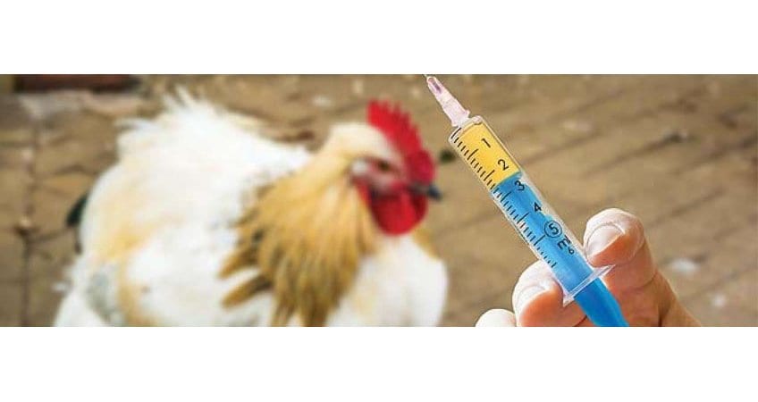 Reduce Clostridia