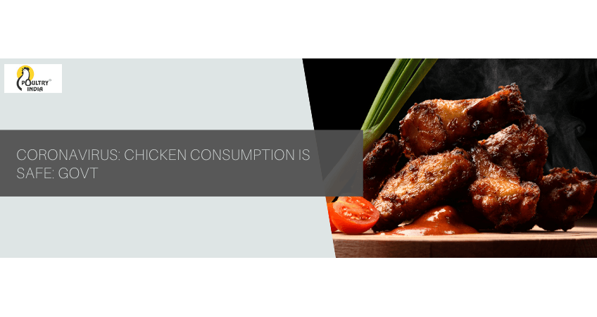 Govt — Chicken Consumption Is Safe