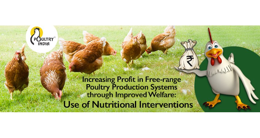 Free-Range Profit