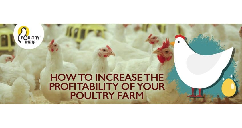 Increase Poultry Farm Profitability