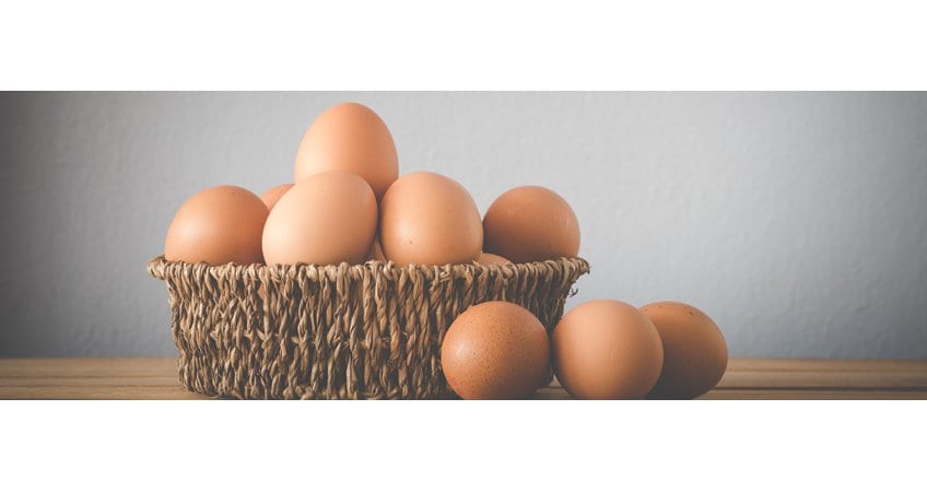 Niti Aayog Protein Push — PDS Eggs, Fish & Meat