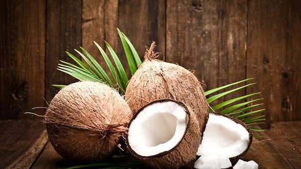 Indonesia turns coconut waste into poultry feed