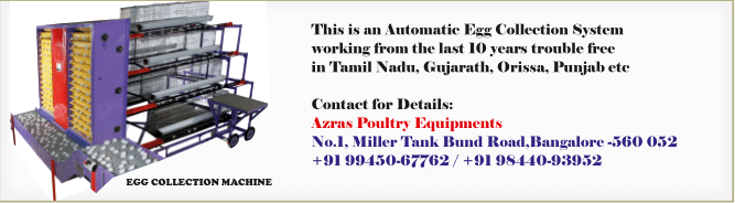 June 2025 Newsletter Banner 2