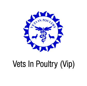 VIP